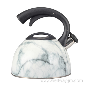 Collection 2.5 Liter Stainless Steel Whistling Kettle